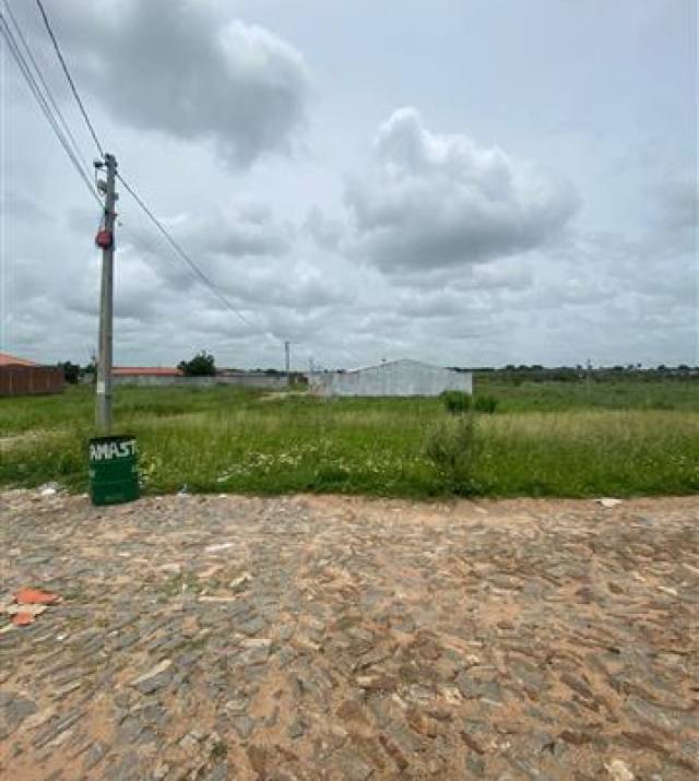 WhatsApp Image 2026-02-25 at 17.17.20.jpeg